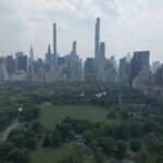 Official VIP Whole Central Park Horse Carriage Tour - Who Will Love This Tour?