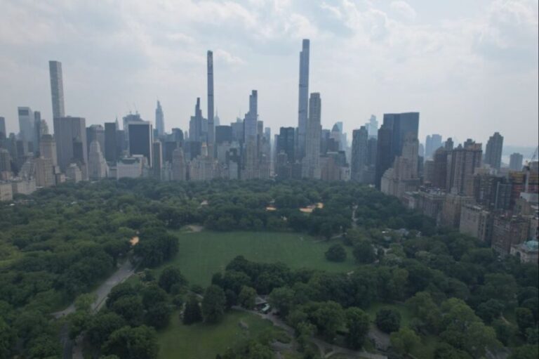 Official VIP Whole Central Park Horse Carriage Tour - Who Will Love This Tour?