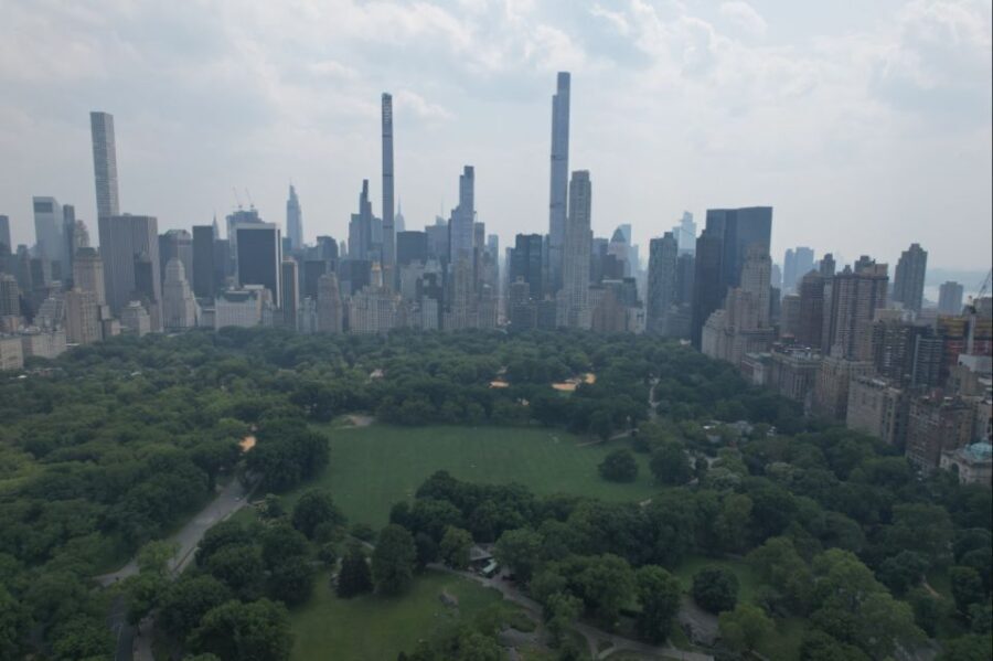Official VIP Whole Central Park Horse Carriage Tour - Who Will Love This Tour?
