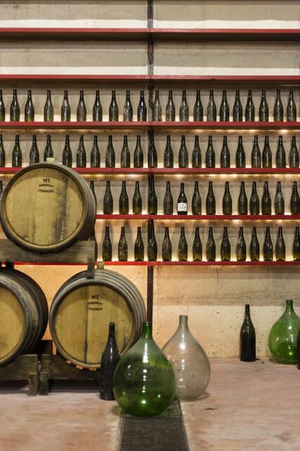 Offida: Tasting itinerary of Rosso Piceno DOC Superiore - A Closer Look at the Offida Rosso Piceno DOC Superiore Tasting Experience