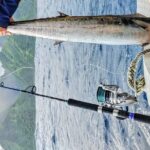 Offshore fishing around the Teahupo'o wave - An In-Depth Look at the Offshore Fishing Experience