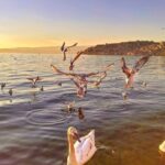 Ohrid City Walking Tour - A Deep Dive into the Ohrid City Walking Tour