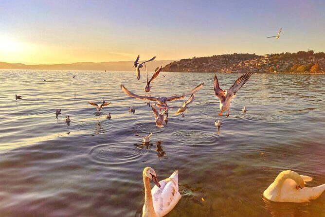 Ohrid City Walking Tour - A Deep Dive into the Ohrid City Walking Tour