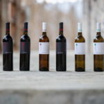 Ohrid: Monastery Winery Tour and Wine Tasting - Exploring the Experience in Detail