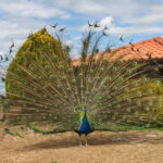 Ohrid & Traditional Village: Private Tour from Tirana/Durres - Value and Practical Considerations