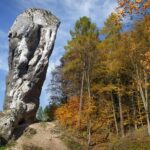 Ojców National Park, private tour from Krakow - An In-depth Look at the Ojców National Park Tour