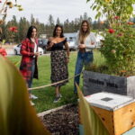 Okanagan Bee Tour, Wine Tasting and Lunch at Kelowna Winery - Exploring the Okanagan Bee Tour in Detail
