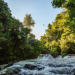 Okere Falls Zipline Experience - A Deep Dive into the Rotorua Zipline Experience