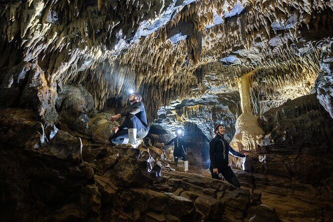 Okohua Glowworm Cave Adventure - An Intimate Look at the Okohua Glowworm Cave Adventure