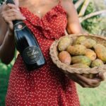 Olbia: Gallura Winery Guided Tour with Tasting - The Itinerary Breakdown
