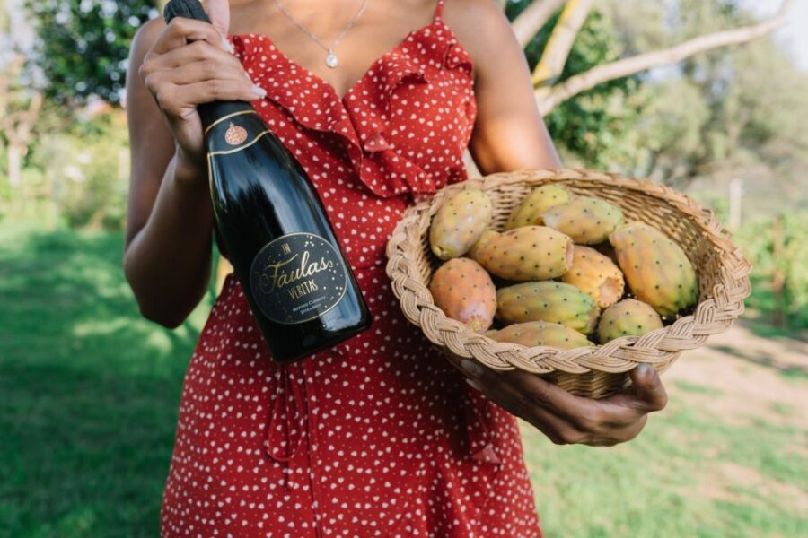 Olbia: Gallura Winery Guided Tour with Tasting - The Itinerary Breakdown
