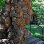 Old Louisvilles Famous Ghosts Smartphone Guided Walking Tour - Who Should Consider This Tour?