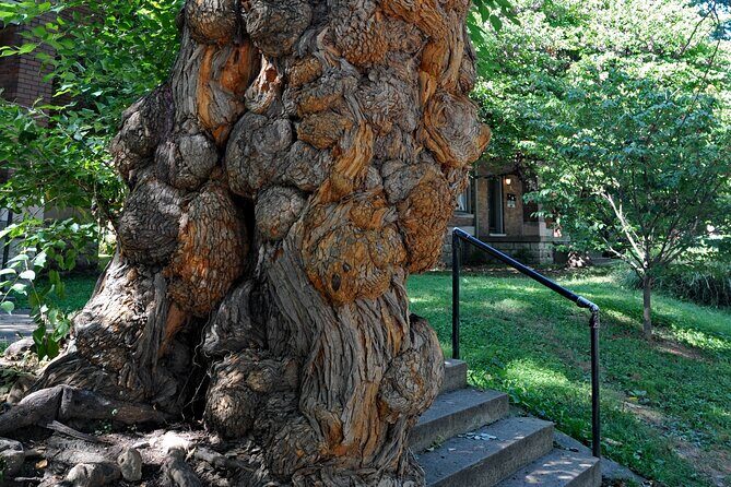 Old Louisvilles Famous Ghosts Smartphone Guided Walking Tour - Who Should Consider This Tour?