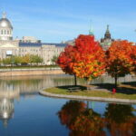Old Montreal Private Walking Tour with Cruise Tickets - The Itinerary Breakdown: What to Expect
