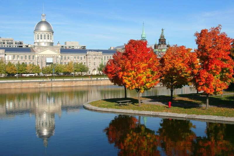 Old Montreal Private Walking Tour with Cruise Tickets - The Itinerary Breakdown: What to Expect