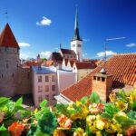 Old Tallinn with Kadriorg & Pirita - Who Will Enjoy This Tour?
