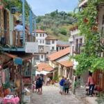 Old Town Bar, Old Olive Tree and the region of olive groves - Final Thoughts
