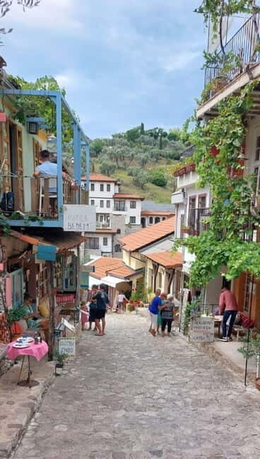 Old Town Bar, Old Olive Tree and the region of olive groves - Final Thoughts