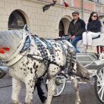Old Town of Krakow and Wawel in Russian - Practical Details and Why They Matter