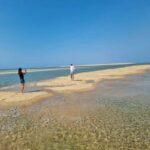 Olhão: Ria Formosa 2 Islands Boat Tour - An In-Depth Look at the Ria Formosa 2 Islands Boat Tour