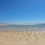 Olhão:5h ride 3 stops on the beaches and islands Ria Formosa - An In-Depth Look at the Ria Formosa Boat Tour