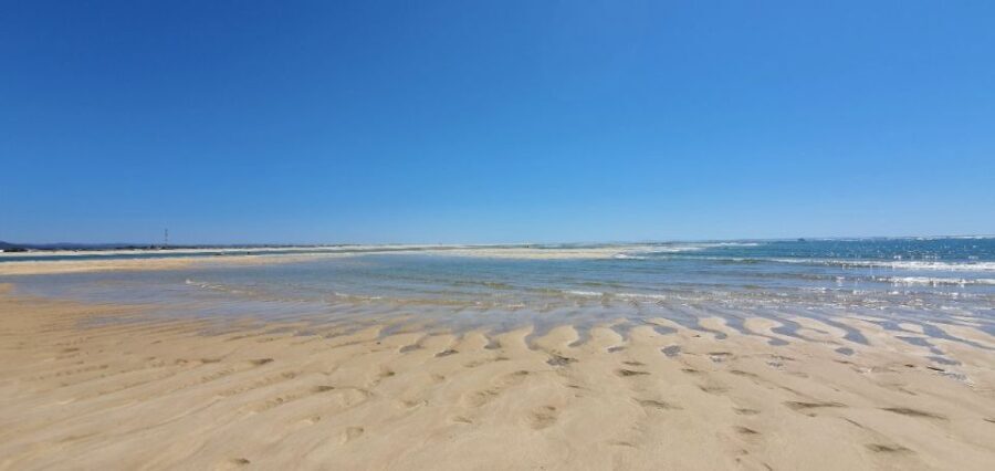 Olhão:5h ride 3 stops on the beaches and islands Ria Formosa - An In-Depth Look at the Ria Formosa Boat Tour