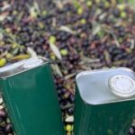 Olive Mill and Winery Experience at Castiglione in Teverina - Who Will Appreciate This Tour?
