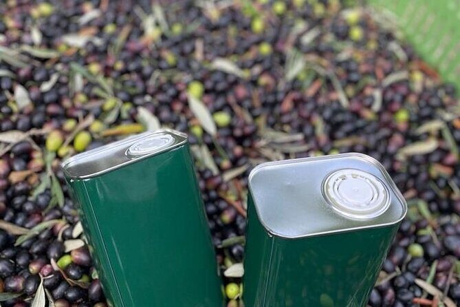 Olive Mill and Winery Experience at Castiglione in Teverina - Who Will Appreciate This Tour?