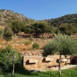 Olive Mill Festival - An In-Depth Look at the Olive Mill Festival