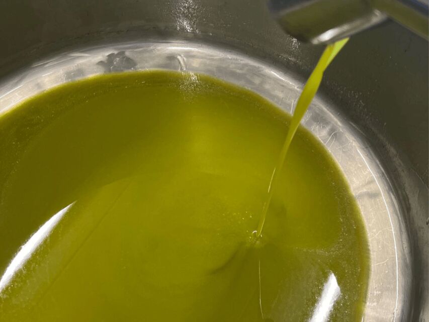 Olive Mill Tour and Tasting in the Padua Hills - Exploring the Olive Mill Tour in the Padua Hills