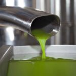 Olive Mill Tour and Tasting in the Verona Countryside - What Makes This Tour Stand Out
