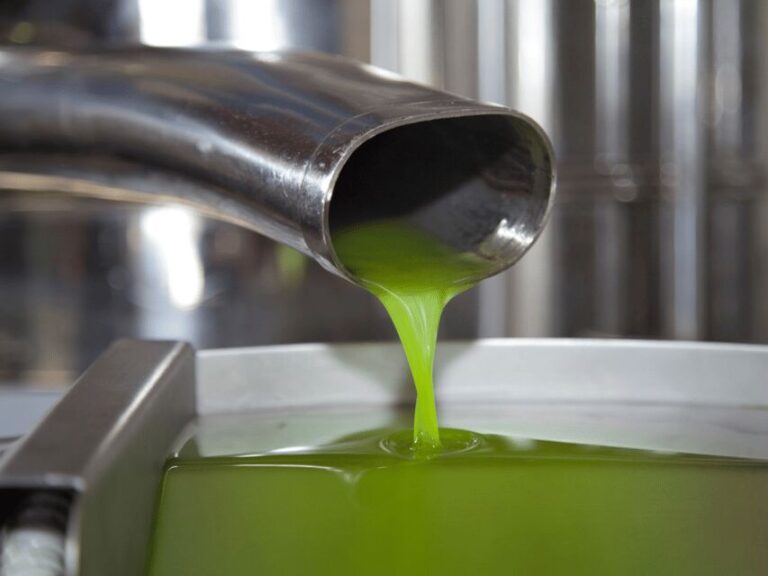 Olive Mill Tour and Tasting in the Verona Countryside - What Makes This Tour Stand Out