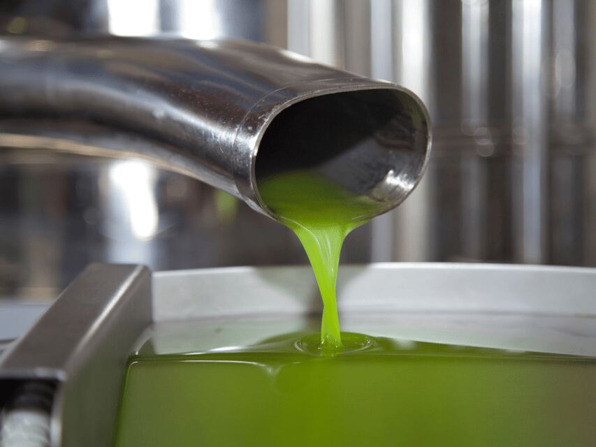 Olive Mill Tour and Tasting in the Verona Countryside - What Makes This Tour Stand Out