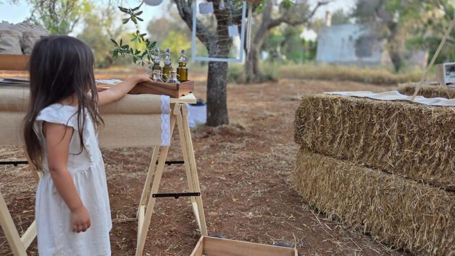 Olive Oil and almond Tour and Tasting: Brindisi, Ostuni - Exploring Apulia’s Olive Heritage