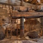 Olive oil farm to fork experience & short walking tour of Kotor - Who Will Love This Tour?