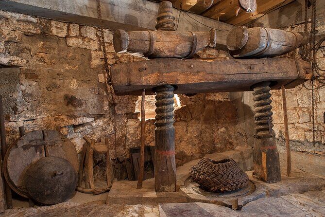 Olive oil farm to fork experience & short walking tour of Kotor - Who Will Love This Tour?