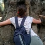 Olive Oil Mill experience and tasting in Salento with Guide - The Sum Up