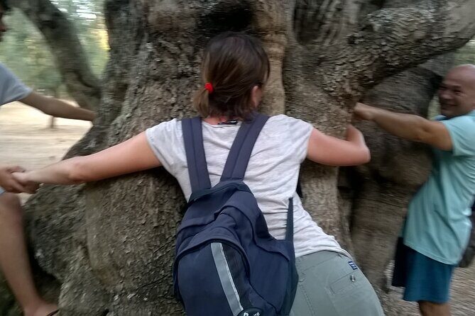 Olive Oil Mill experience and tasting in Salento with Guide - The Sum Up