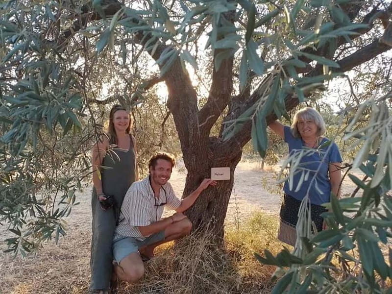 Olive Oil Seminar with Tasting in Metaggitsi - Halkidiki. - An In-Depth Review of the Olive Oil Seminar Experience
