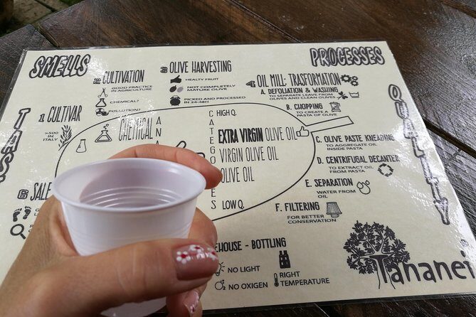 Olive Oil tour with Tuscan dinner - Final Thoughts: Is This Tour for You?