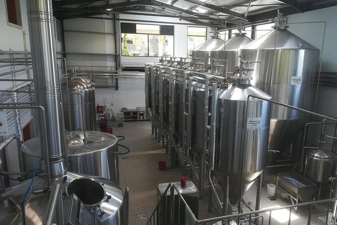 Olive Oil - Wine - Beer Private Tour (price per group of 6) - What’s Included and What’s Not