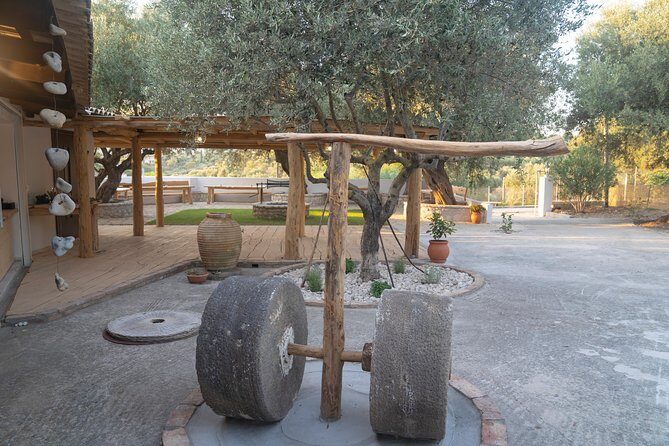 Olive Tour & Tasting - The Sum Up