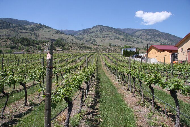 Oliver & Osoyoos Private Wine Tour - Half Day - What Makes This Tour Valuable?