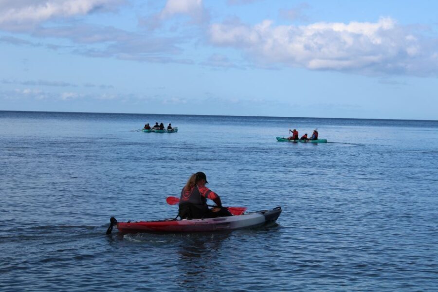 Olowalu: Guided Kayak and Snorkeling Tour - Unlimited - Who Should Consider This Tour?