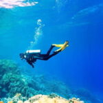 Oludeniz Half Day Scuba Diving Program - Detailed Review: Why This Tour Adds Value