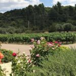 Olympia - Full day Tour with mini bus - An In-Depth Look at Olympias Full-Day Private Tour