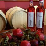 Olympia's Ancient Secrets & Wine Enchantment Tour - All Included - Authenticity and Value for Money