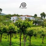 Olympia's Secrets & Wine Enchantment Tour - All Included - What the Reviews Say