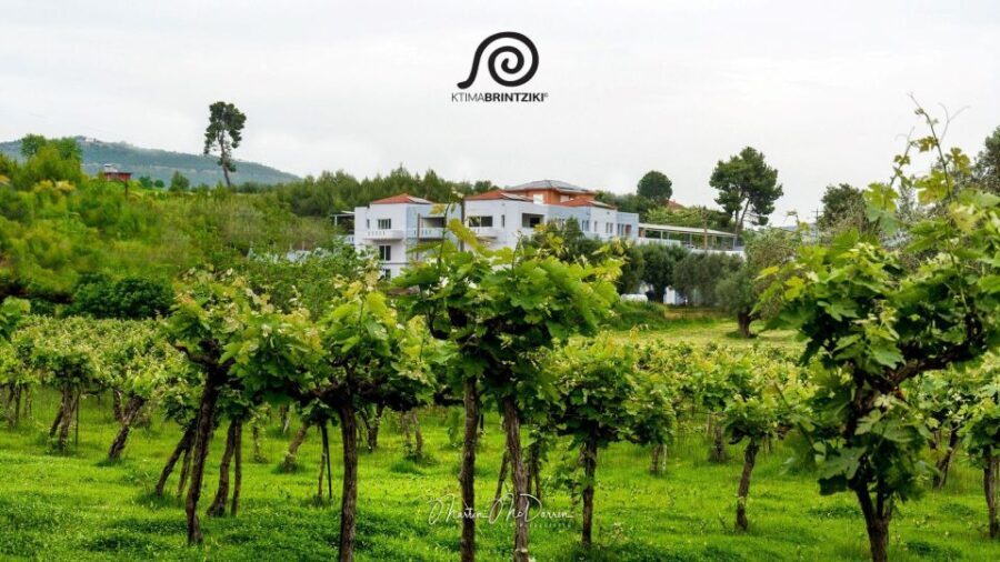 Olympia's Secrets & Wine Enchantment Tour - All Included - What the Reviews Say
