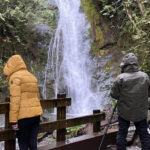 Olympic National Park: Half-Day Tour - Final Thoughts
